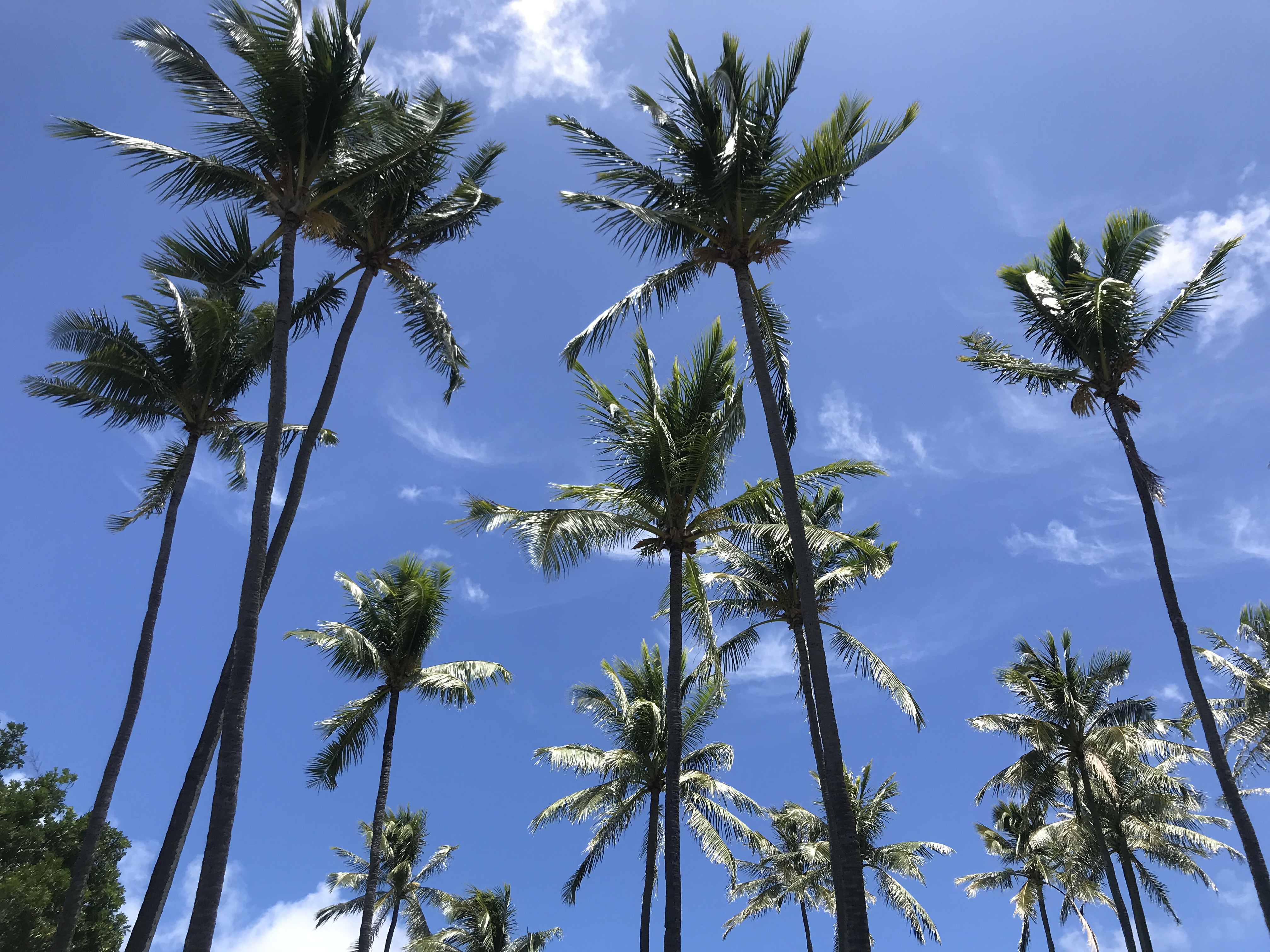 Photo Aug 26, 3 31 33 PM