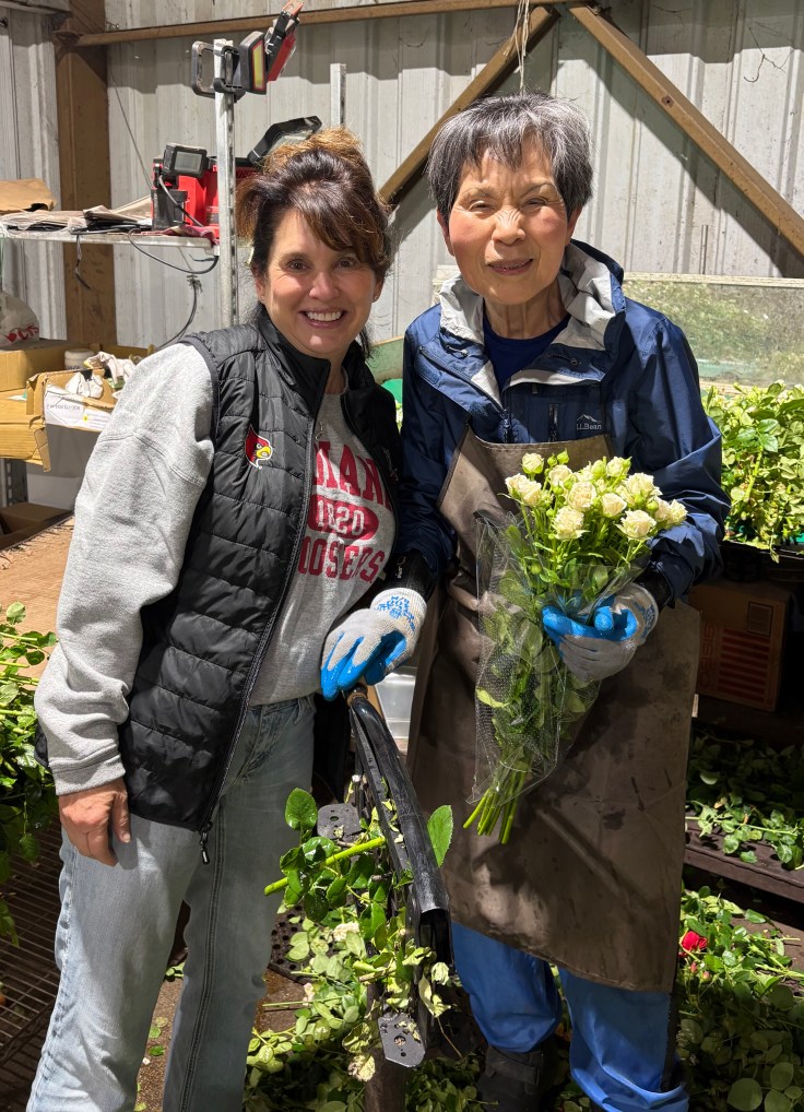 Picking up flowers from the family Rose grader.